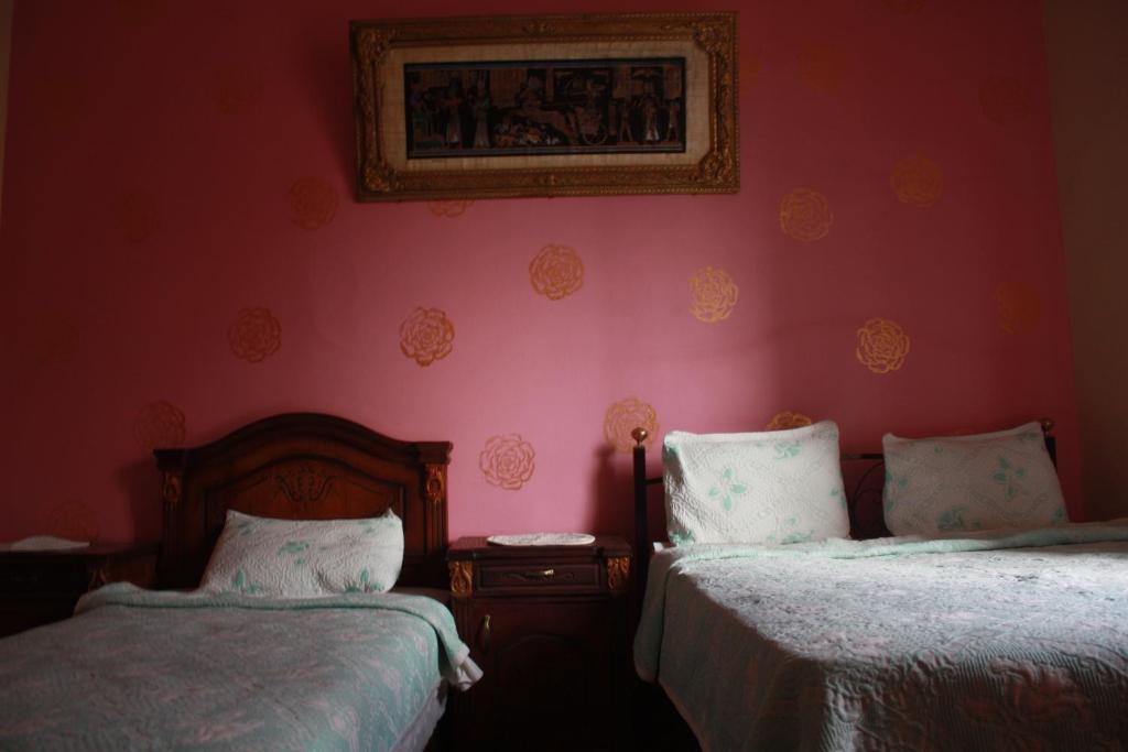 Hola Cairo Hostel Phòng bức ảnh