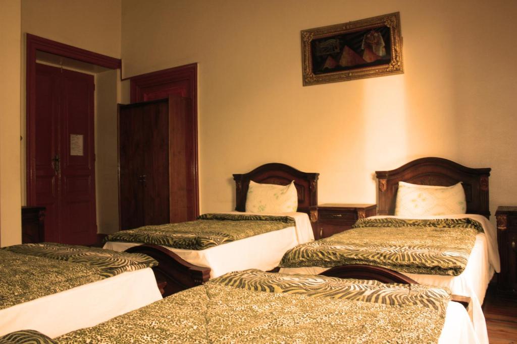 Hola Cairo Hostel Phòng bức ảnh