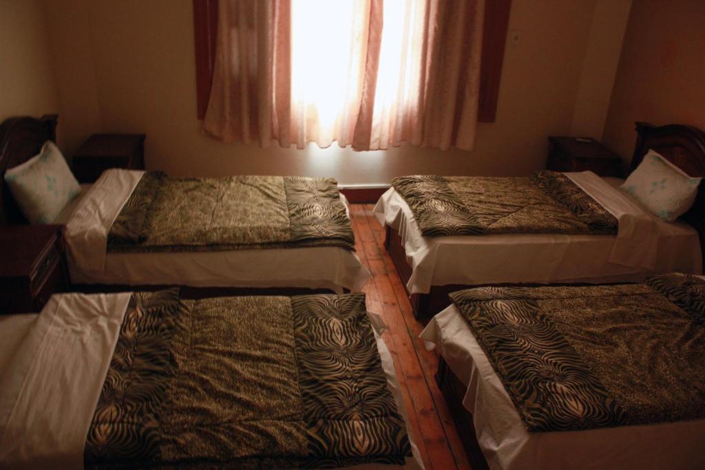 Hola Cairo Hostel Ngoại thất bức ảnh